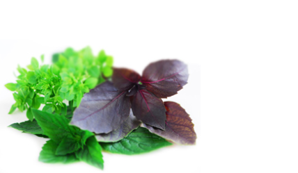 Bylinné čaje a fytofarmaka