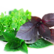 Distribuce zdravotnických informačních materiálů